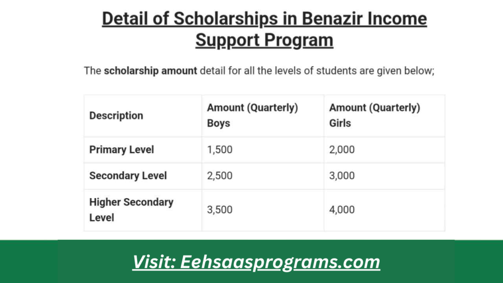 BISP Scholarship 2