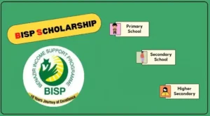 BISP Scholarship