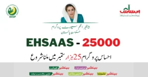 Ehsaas Program 25000