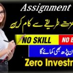 Online Assignment Work In Pakistan For Girls & Boys