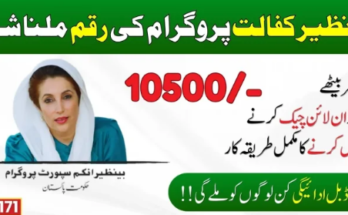 Payment Of Benazir Kafaalat Continues Across The Country, At this time, the regular beneficiary of the Benazir Kafaalat program has started receiving money from t