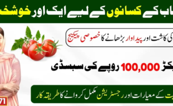 Punjab Government Announced A Special Package For Farmers