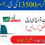 Benazir Kafaalat New Registration: Check the Latest Update