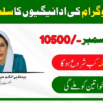 Benazir Kafalat Program: New Payment Distribution Schedule Anounced