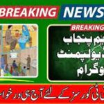 Ehsaas Skill Development Program 2025: Complete Guideline