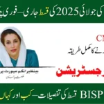 Good News: BISP July 2025 Installment Released—Check Now
