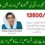 BISP New Payments Distribution Process and Dates Update 2025: Everything You Need to Know