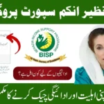 BISP 8171 Payments October 2025 – Check CNIC and Eligibility