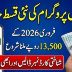 How to Check 8171 Online by CNIC in 2026